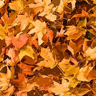 NL Scheffer Augustinus Laubblätter