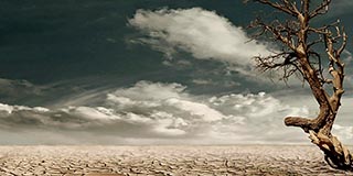 Reshad Feild: Transformation