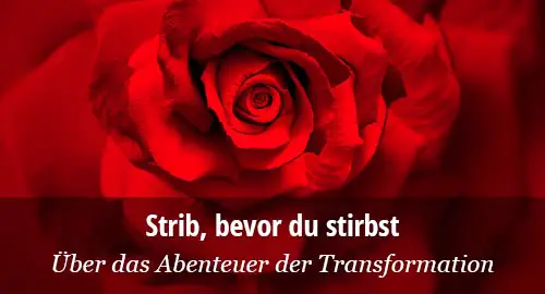 Reshad Feild über Transformation: Stirb, bevor du stirbst